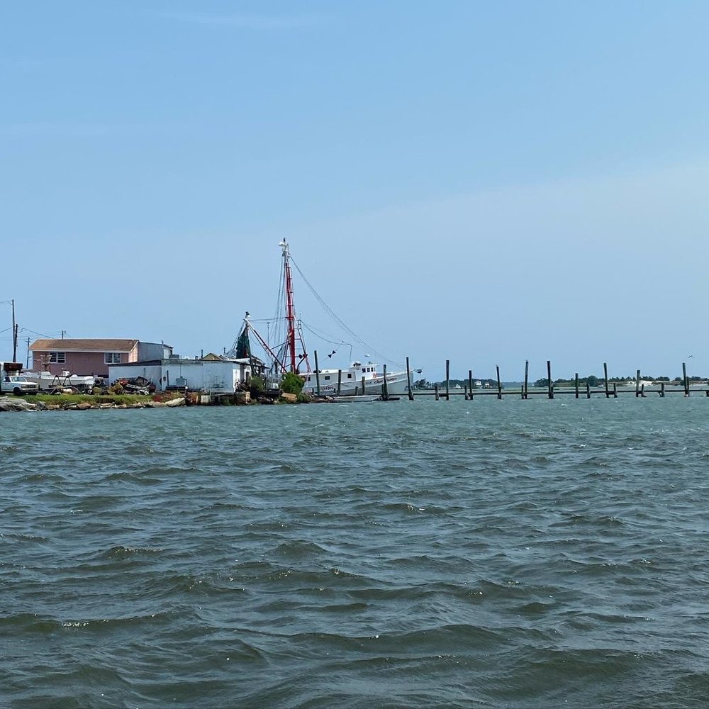 Meet your Posher, Marlo